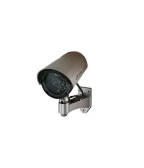CAMARA DOMO CON LED IR PARPADEANTE CAMARA DE VIDEOVIGILANCIA